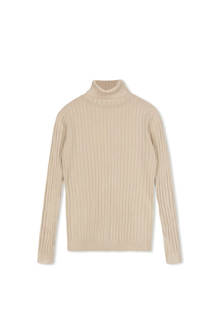 Cinnamon knit turtleneck