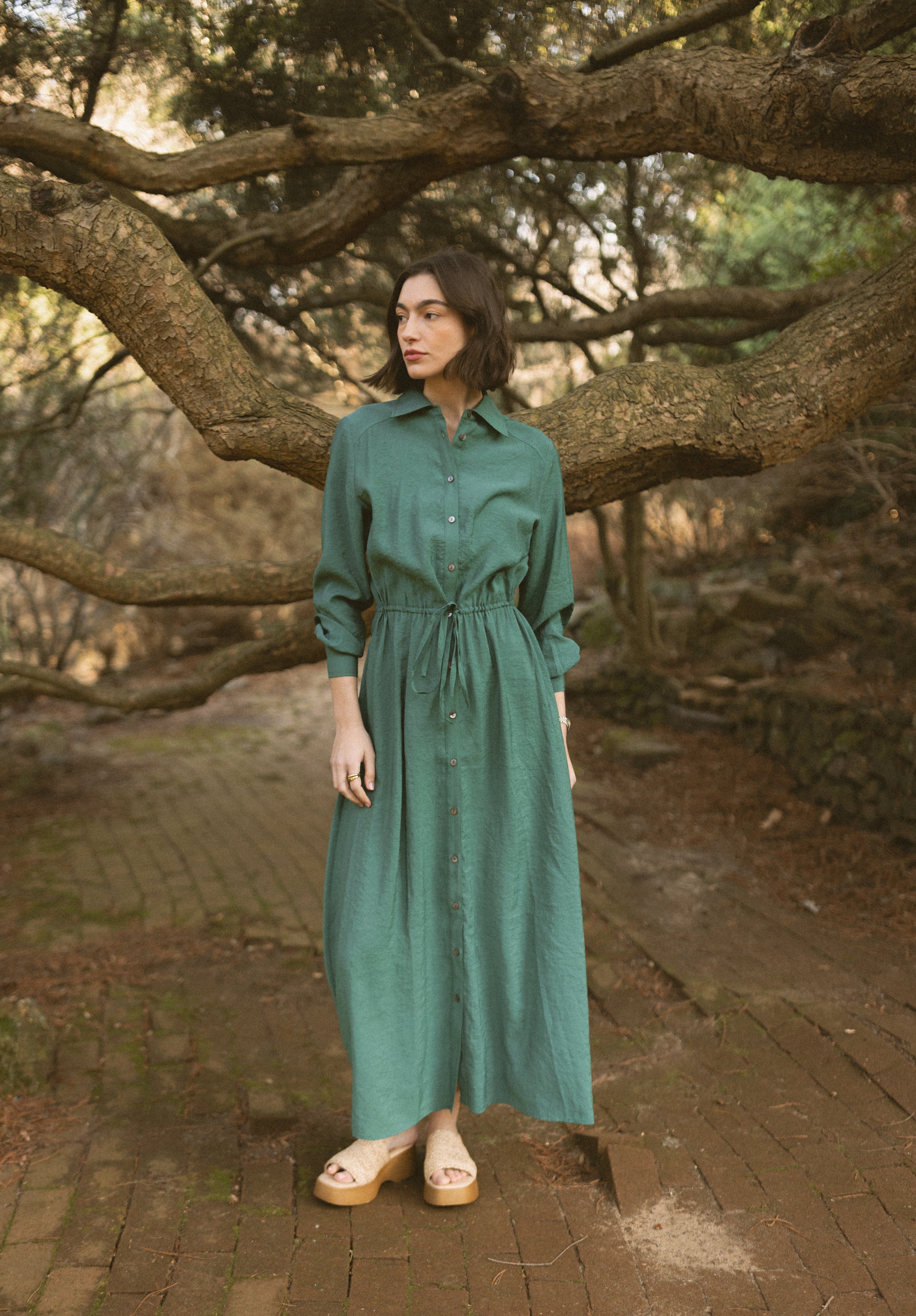 element shirtwaist dress – The Gallery Collection element shirtwaist dress – The Gallery Collection