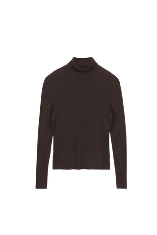 Cinnamon Cable Turtleneck