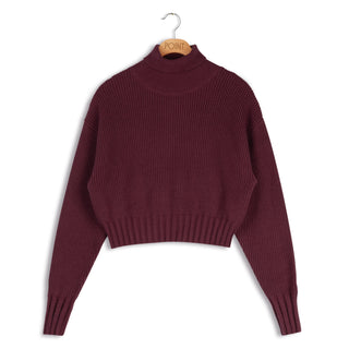 point crop turtleneck pullover