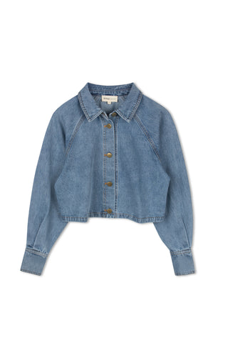 HD Embroidery Cropped Shirt