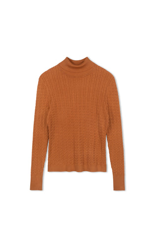 Cinnamon Cable Turtleneck