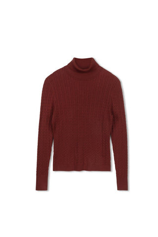 Cinnamon Cable Turtleneck