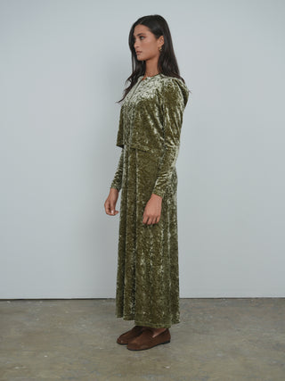 Point Velvet Column Dress