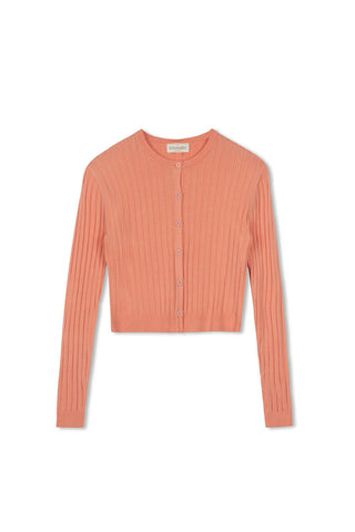 Cinnamon Classic Cardi