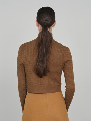 cinnamon cable cardi